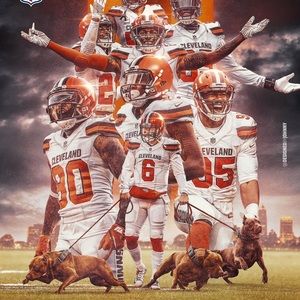 Meet your Posher, Bruce